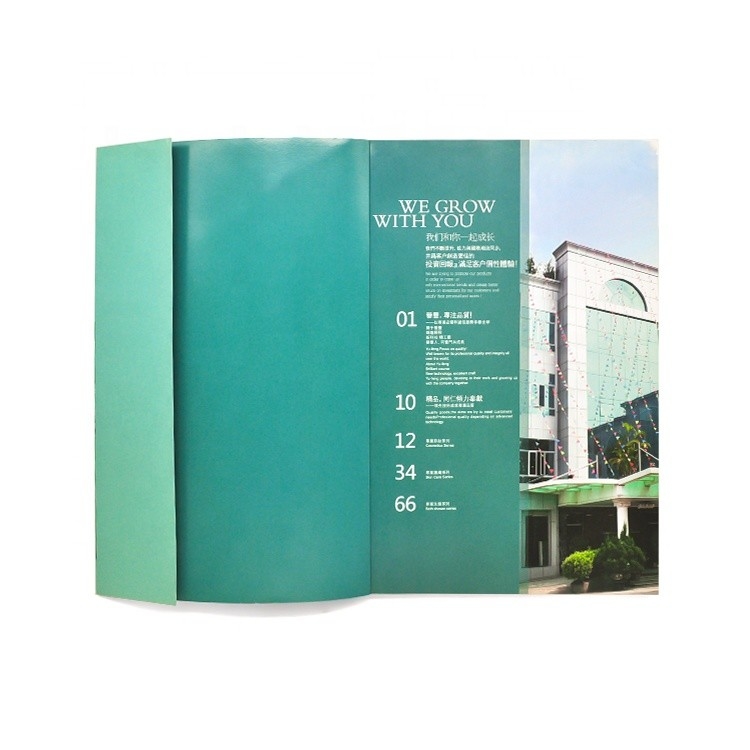 Livre d'images de couleur adapté aux besoins du client imprimant l'approbation d'OIN de la couleur 4c+4c CMYK