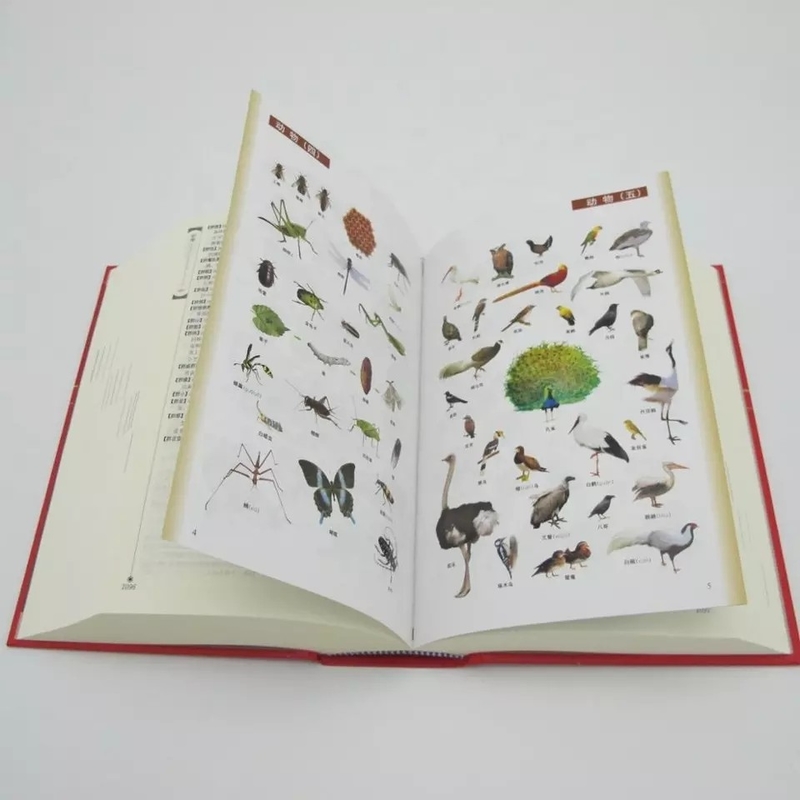 Impression colorée de Digital de dictionnaire anglais imprimable brillant/mat de stratification