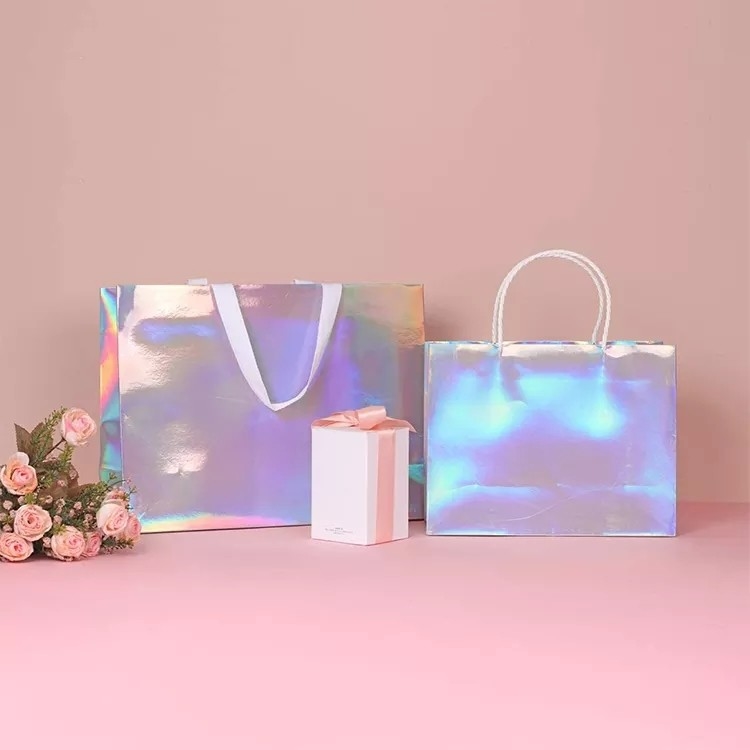Le transporteur argenté d'habillement d'aluminium de scintillement met en sac la couleur olographe de Cmyk